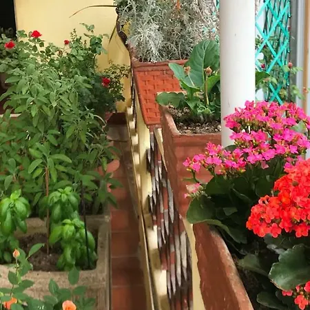 Casa Di Nonna Bed & Breakfast Vercelli Exterior photo