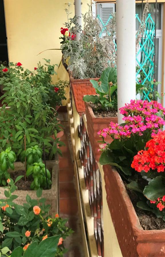 Casa Di Nonna * Vercelli