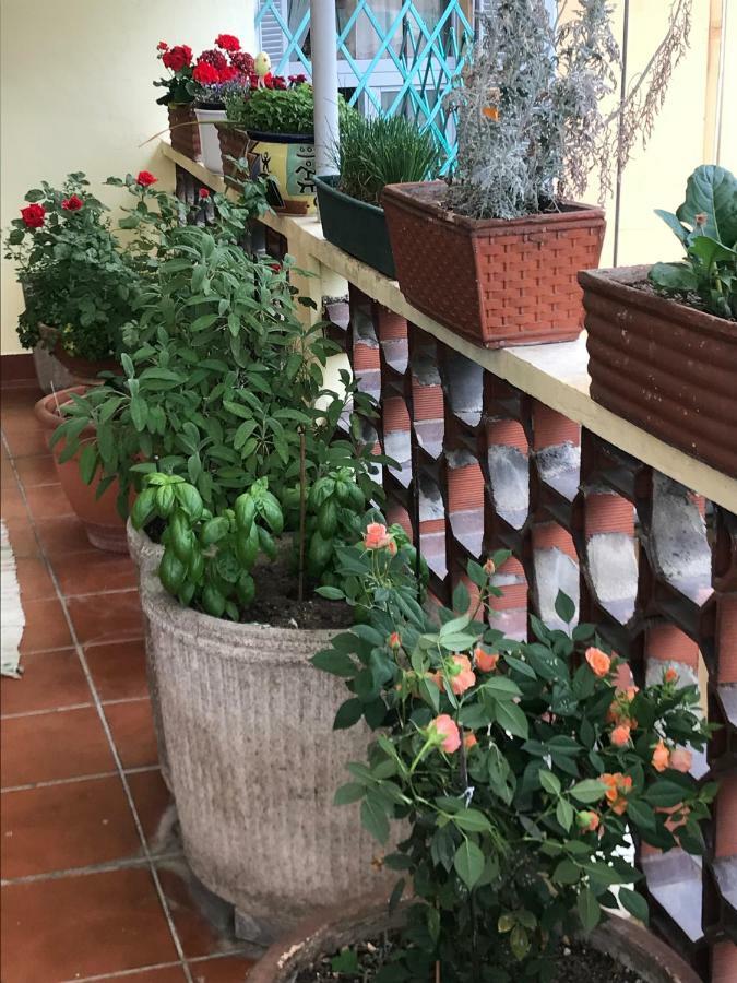 Bed & Breakfast Casa Di Nonna *